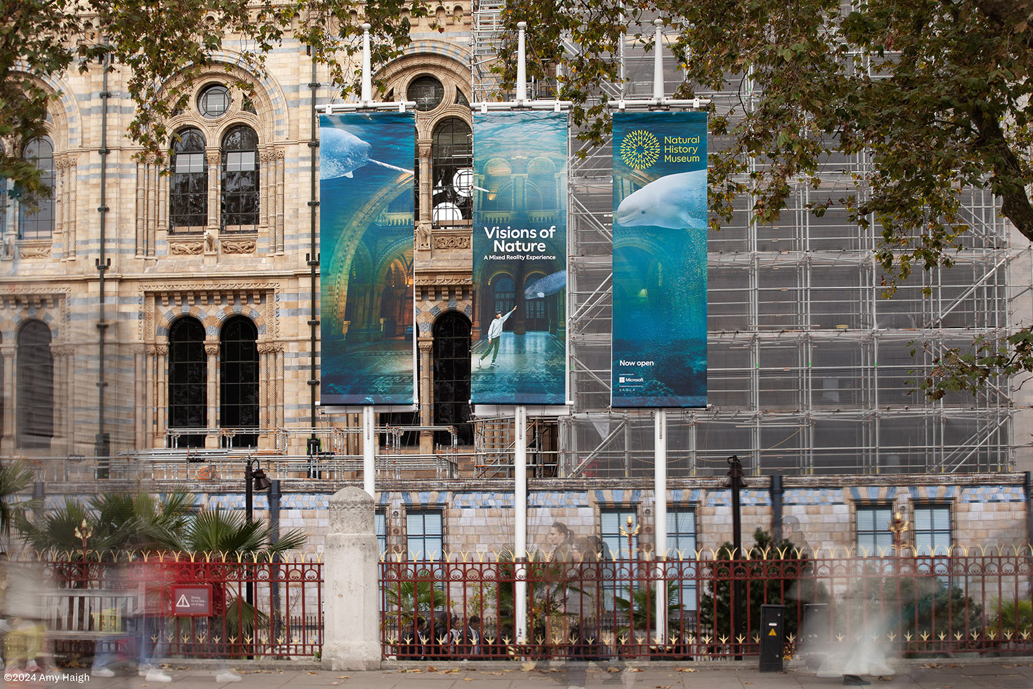 Visions of Nature, The Natural History Museum. Design by Amy Haigh.